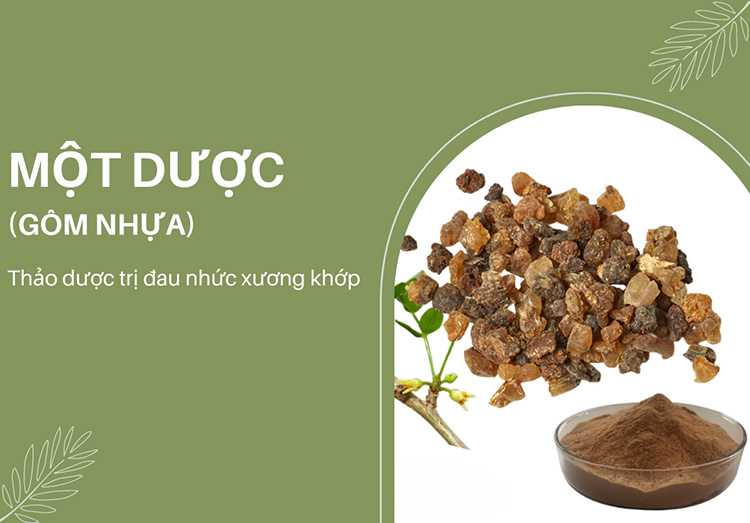 Một dược - dược liệu quý trong điều trị bệnh