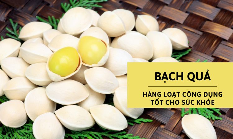 bạch quả có tác dụng gì